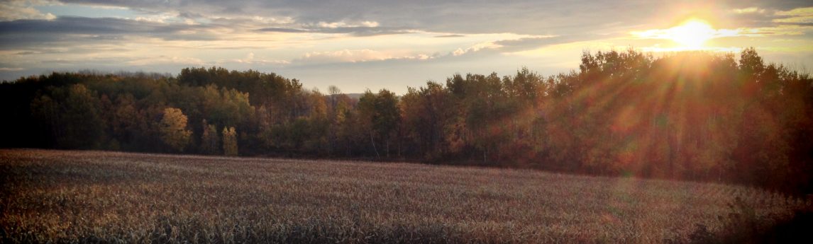 Central New York Oil and Gas Company: MARC I Hub Line - NV5