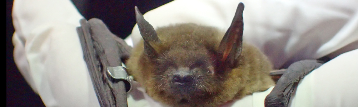 NV5_Project_-MYGR-Culvert-085