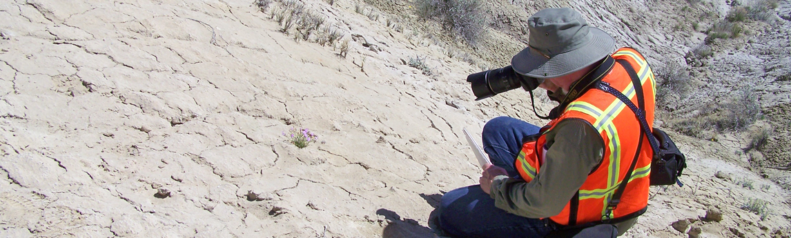 NV5_Projects_Photographing-Aztec-gilia1